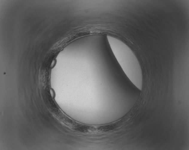 X0000085730311200703160843