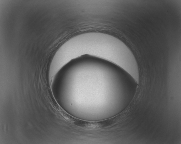 X0000085730313200703160843