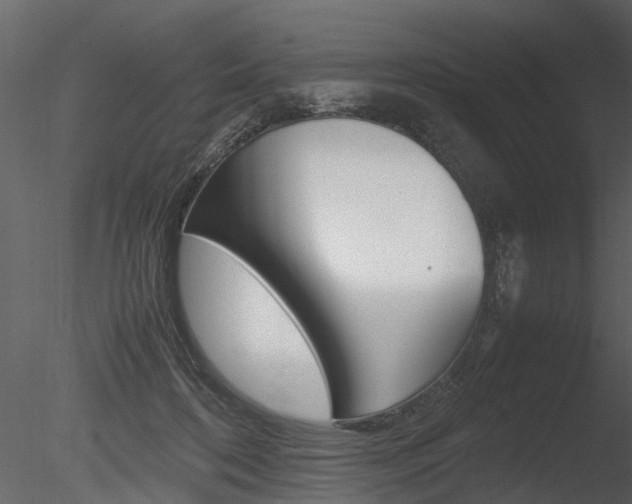 X0000085730316200703160843