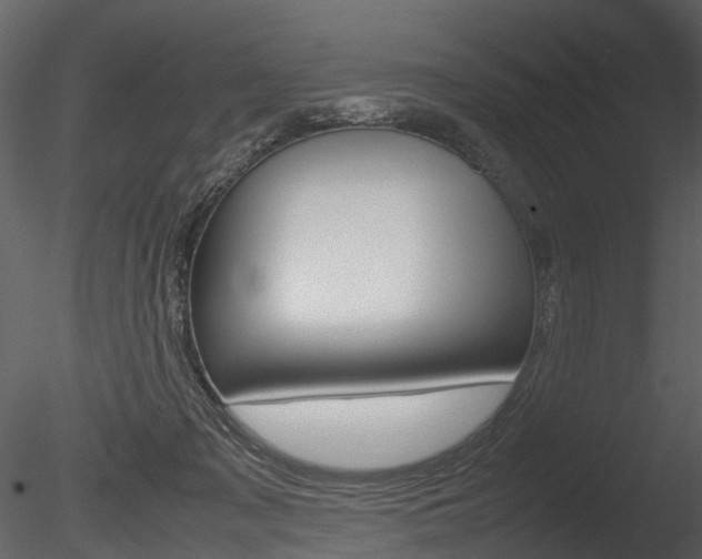 X0000085730317200703160843