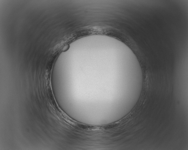 X0000085730318200703160843