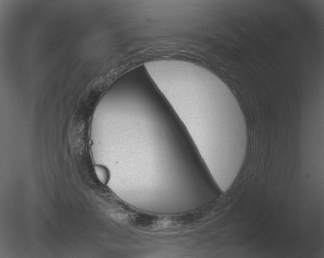X0000085730319200703160843
