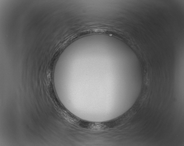 X0000085730321200703160843