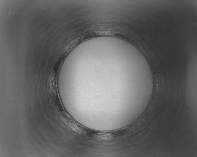 X0000085730322200703160843
