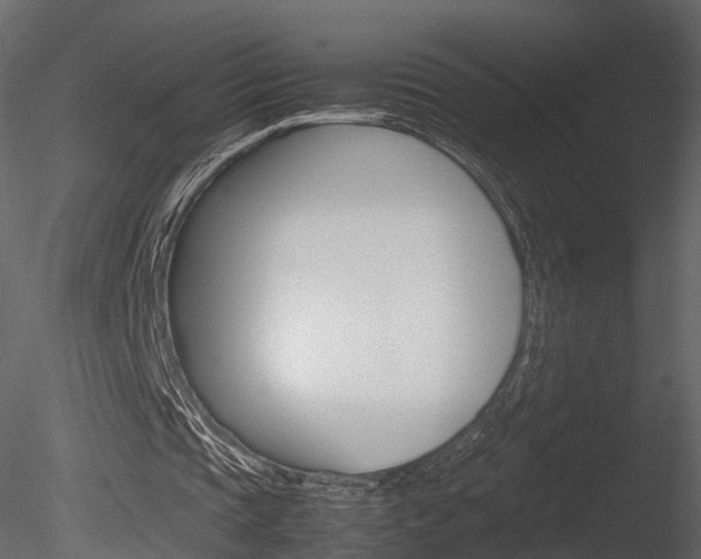 X0000085730337200703160842