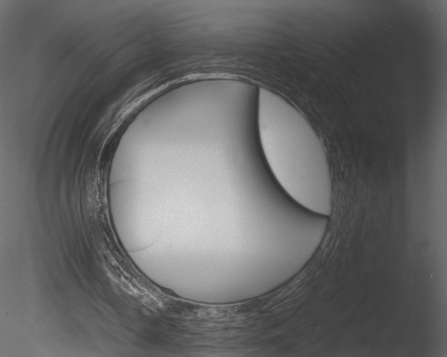 X0000085730338200703160842