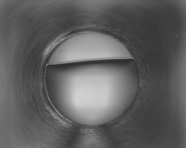 X0000085730341200703160842