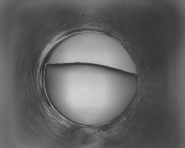 X0000085730343200703160842