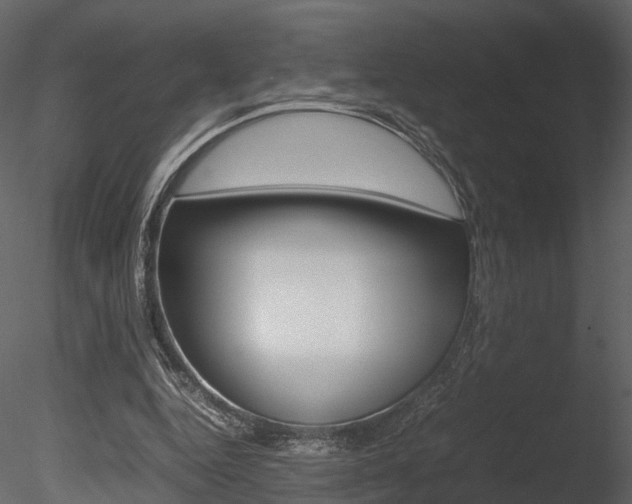 X0000085730344200703160842