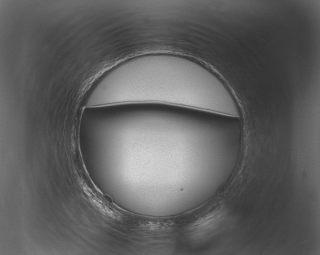 X0000085730345200703160842
