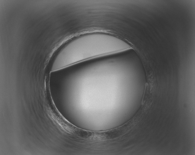 X0000085730350200703160842