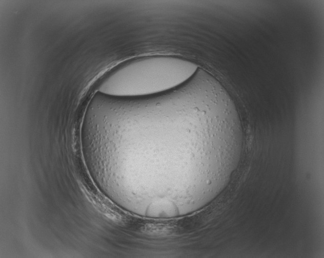 X0000085730351200703160842