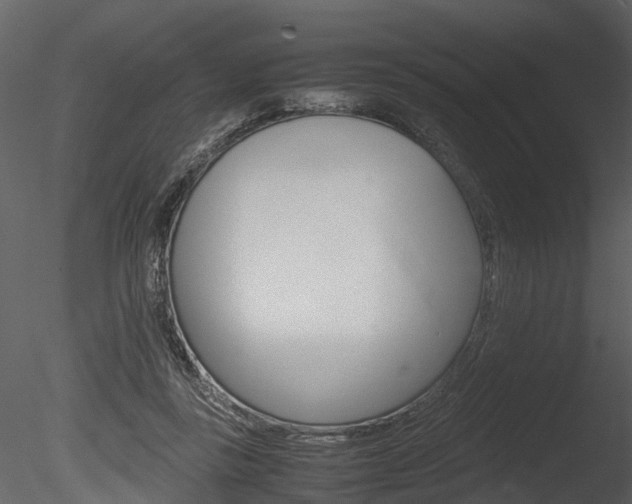 X0000085730355200703160842