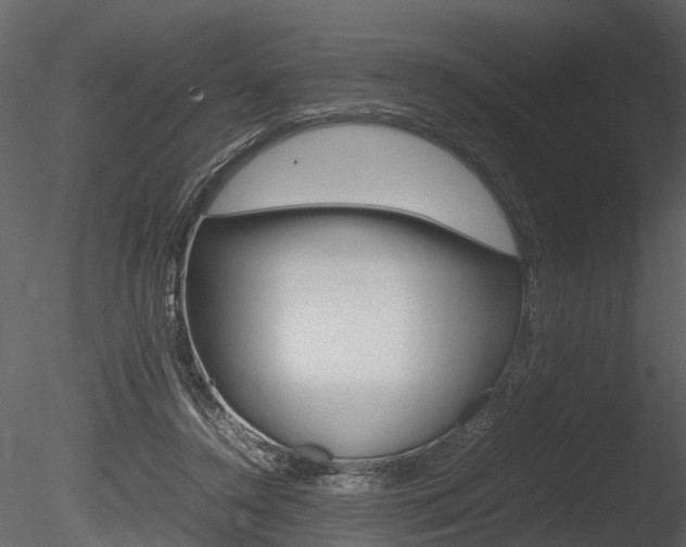 X0000085730356200703160843