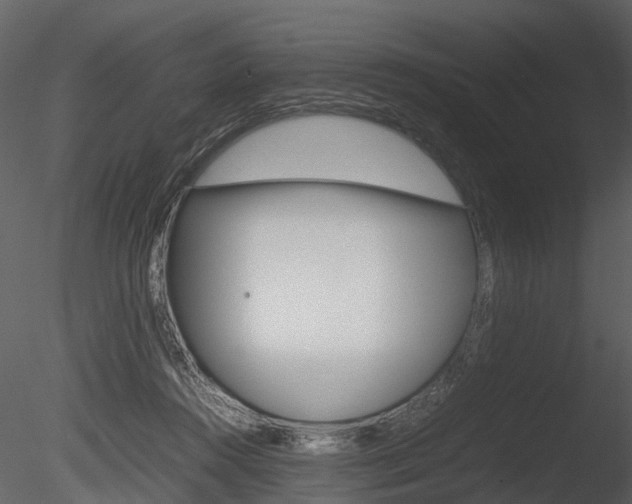 X0000085730360200703160843