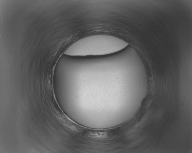 X0000085730361200703160843