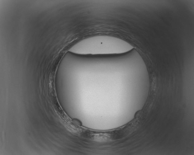 X0000085730363200703160843