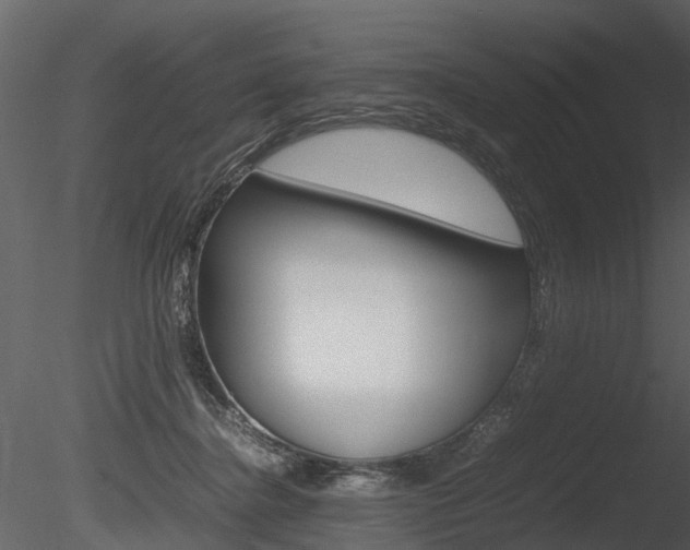 X0000085730364200703160843