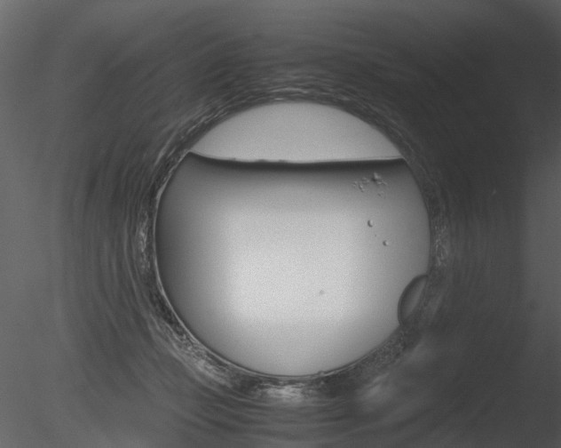 X0000085730365200703160843