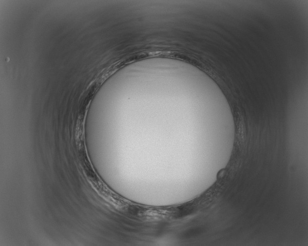X0000085730367200703160843