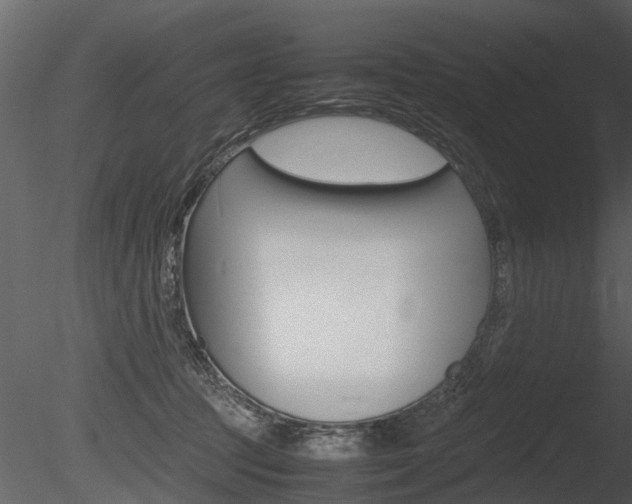X0000085730369200703160843