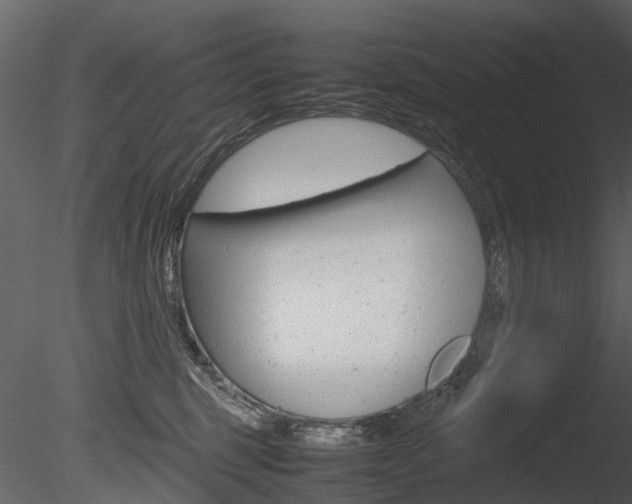 X0000085730375200703160843