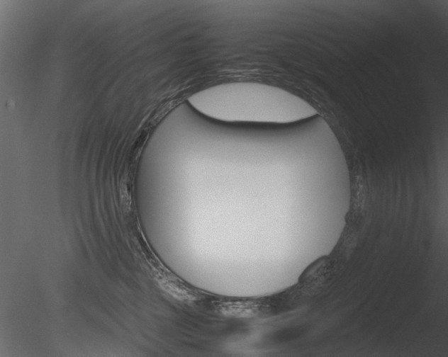 X0000085730377200703160843