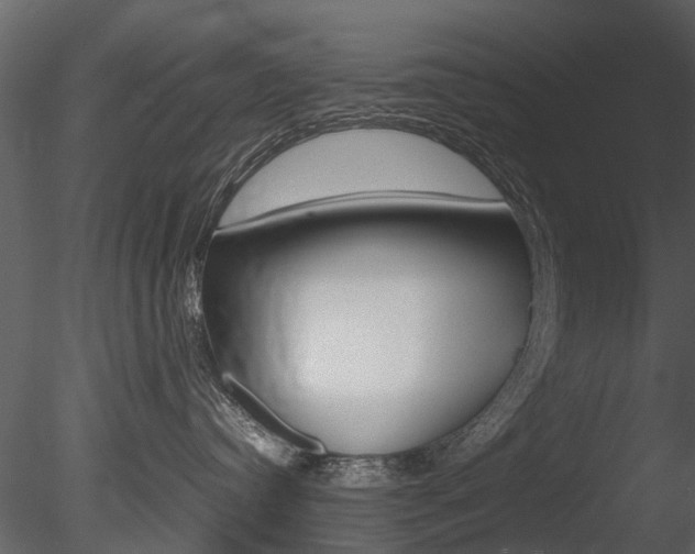 X0000085730384200703160843