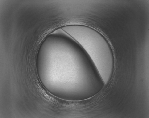 X0000085730385200703160842