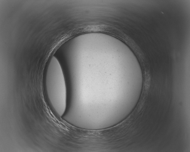 X0000085730386200703160842