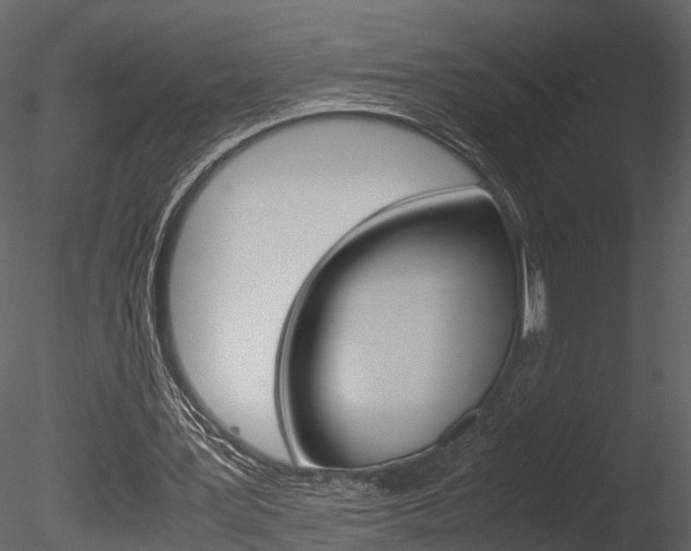 X0000085730387200703160842