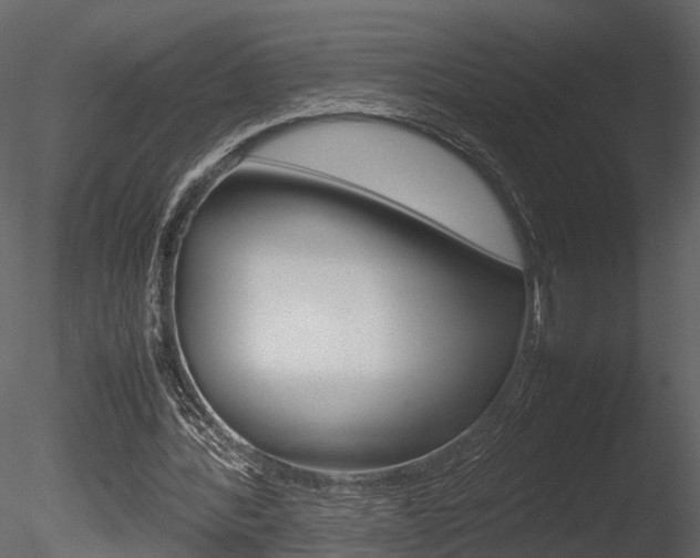 X0000085730388200703160842