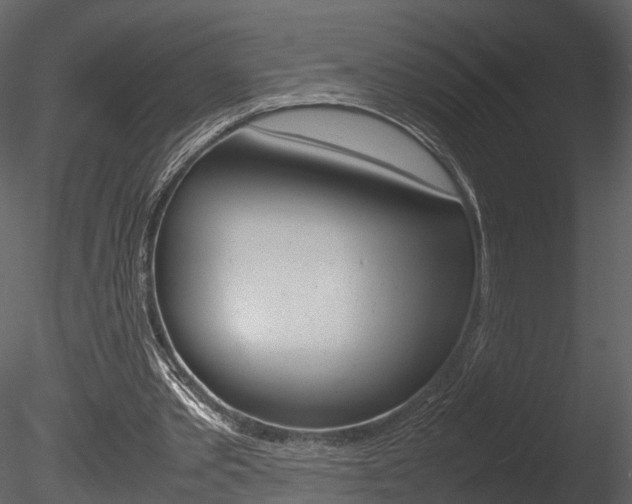 X0000085730389200703160842