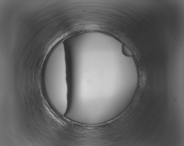 X0000085730390200703160842