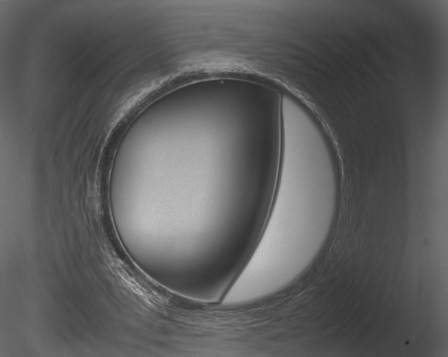 X0000085730391200703160842