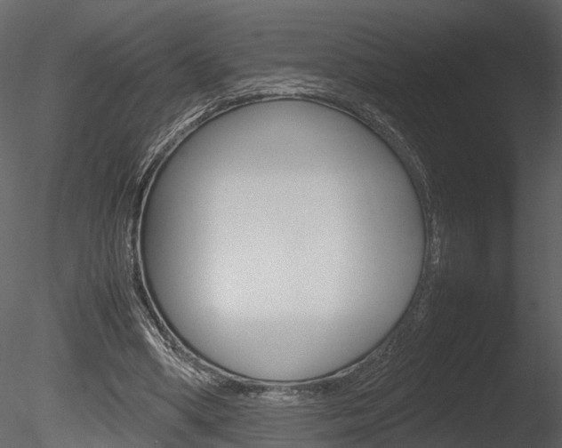 X0000085730394200703160842