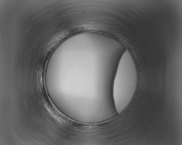 X0000085730398200703160842