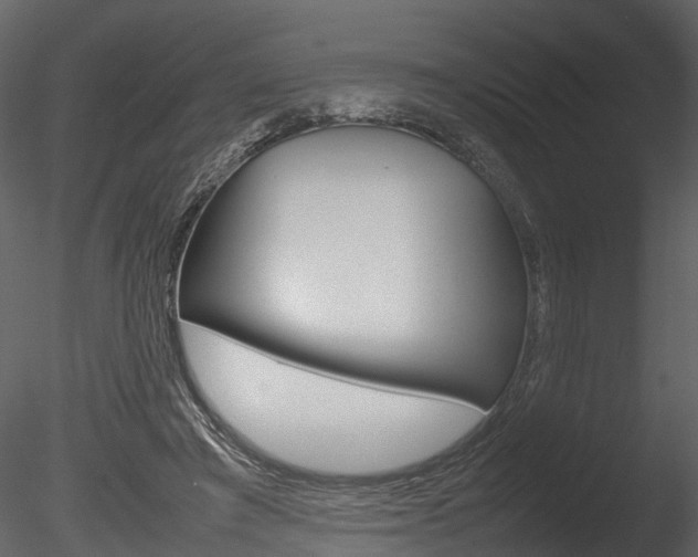 X0000085730401200703160842