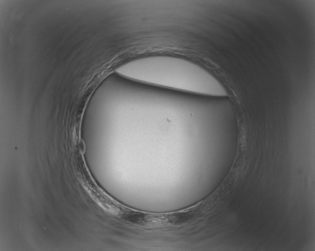 X0000085730405200703160842