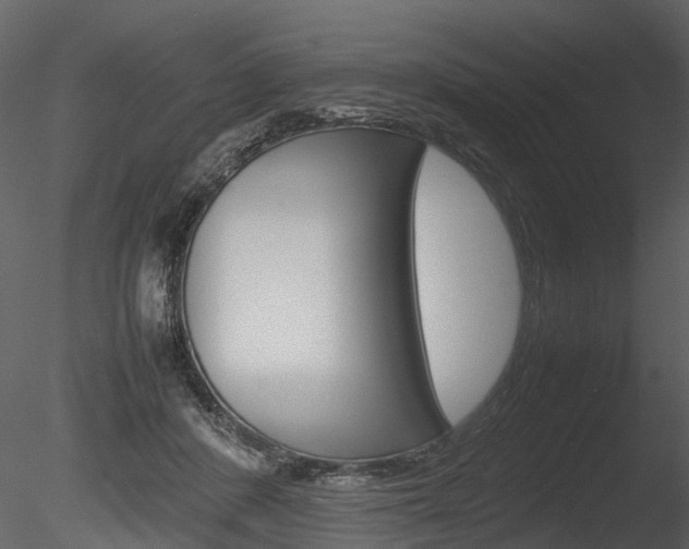 X0000085730408200703160842