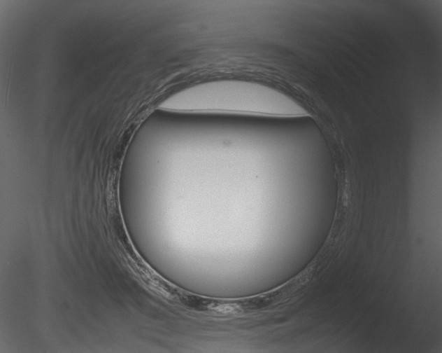 X0000085730409200703160842