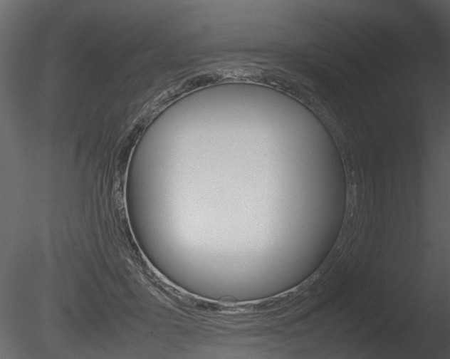 X0000085730411200703160842