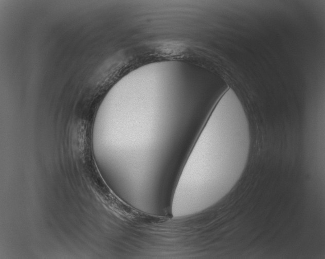 X0000085730412200703160842