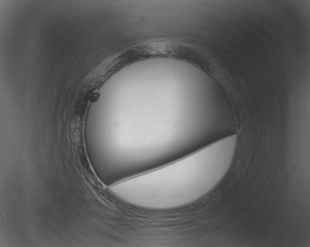 X0000085730413200703160842