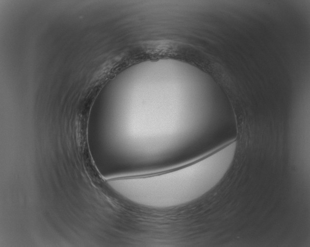 X0000085730416200703160842