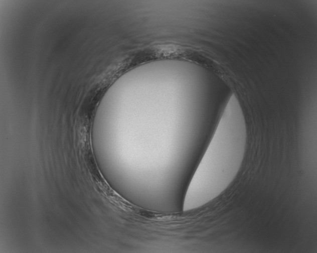 X0000085730417200703160842