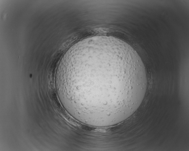 X0000085730418200703160842