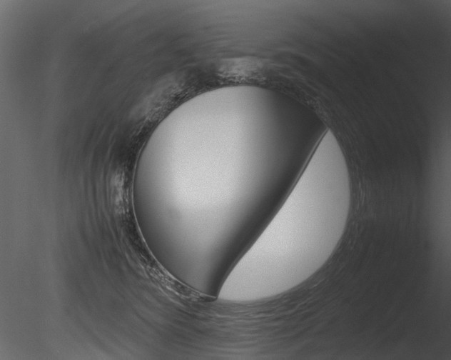 X0000085730420200703160842