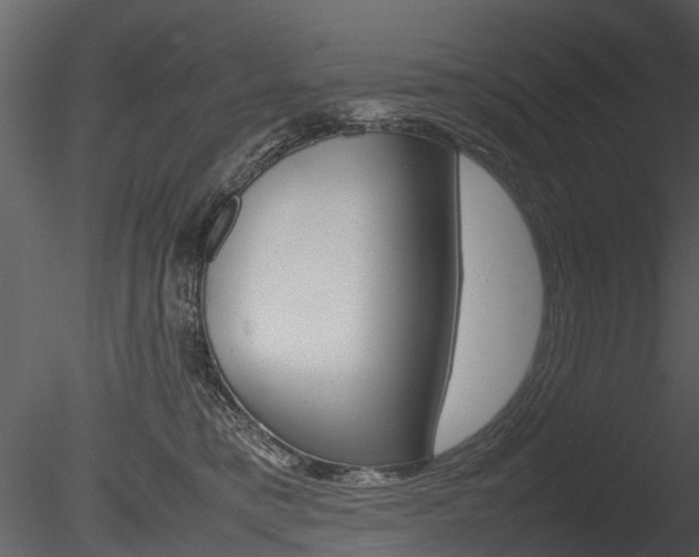 X0000085730421200703160842
