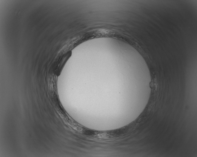 X0000085730423200703160842